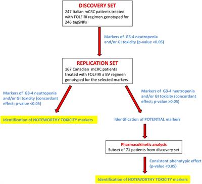 Association of STAT-3 rs1053004 and VDR rs11574077 With FOLFIRI-Related Gastrointestinal Toxicity in Metastatic Colorectal Cancer Patients